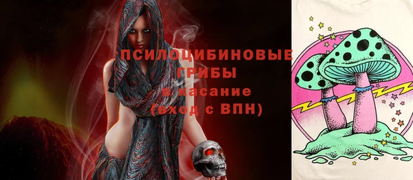 бошки Арсеньев