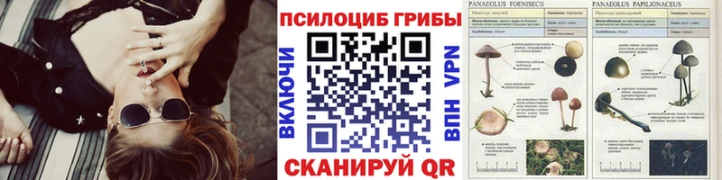 Галлюциногенные грибы MAGIC MUSHROOMS  Закаменск 